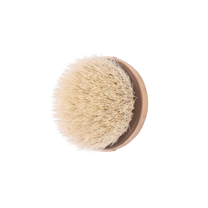 EcoTools Dry Body Brush, For Post Shower & Bath Skincare Routine, Removes Dirt & Promotes Blood Circulation, Helps Reduce Appearance of Cellulite, Eco-Friendly, Vegan & Cruelty-Free, 1 Count