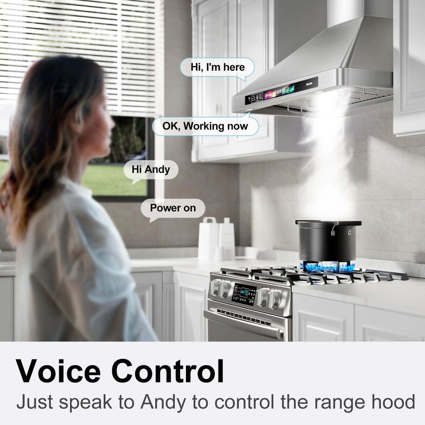 BRANO 30 Inch Wall Mount Range Hood, 900 CFM, Voice/Gesture/Touch Control, Stainless Steel, 4 Speed, 4 Adjustable Lights, Ducted/Ductless Convertible