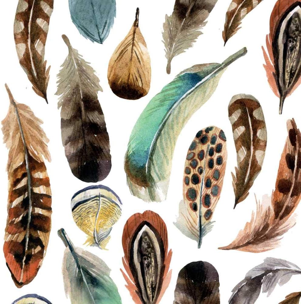 Paperproducts Design Decorative Paper Napkins, Beverage Napkin, Cocktail Napkin, Dinner, Birthdays, Parties, Gift, Celebrations - 5" x 5" - Aquarell Feathers Design (Pack of 20)
