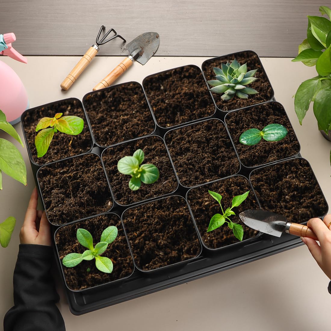 RooTrimmer 4 inch (10CM) Square Nursery Pots 120pcs, Sturdy Seedlings Trays 10 Pcs, Seeds Starter Germination Tray, Microgreening Planter Nursery Propagation 10 Sets