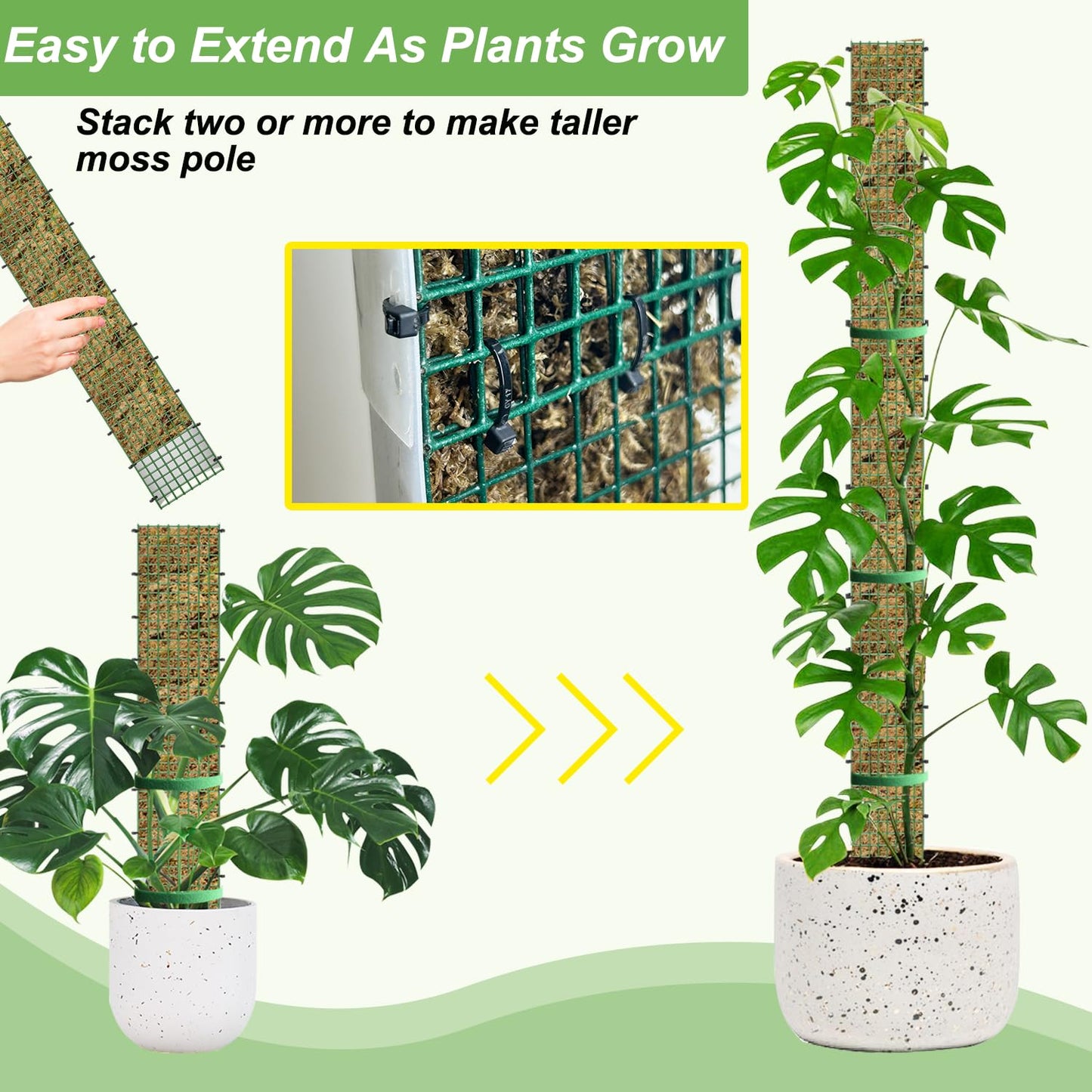 60"/40"/24" Metal Moss Pole, D Shape Sphagnum Moss Pole, Moss Poles for Climbing Plants, Monstera, Indoor Climbing Plants (1 Each of 60" 40" 24")