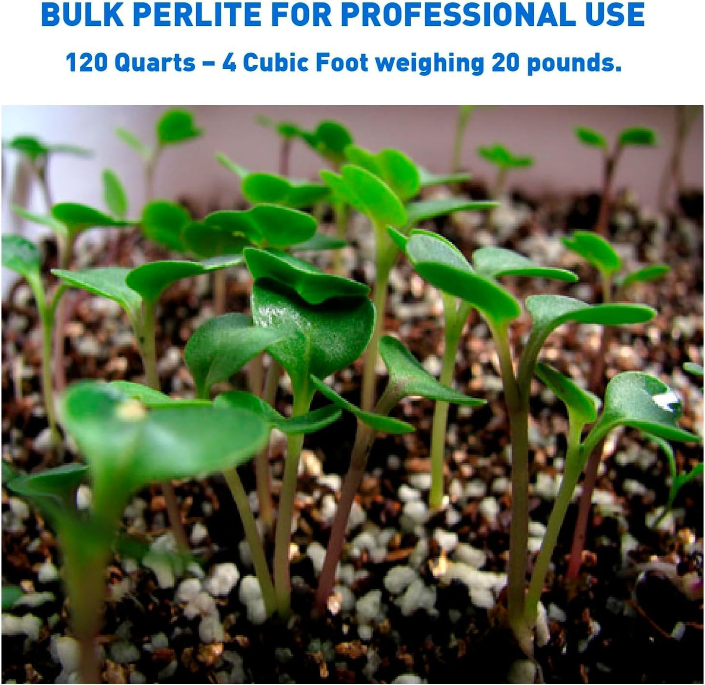 Norcal Perlite Horticultural Organic Certified Premium Screened Coarse Garden Indoor Outdoor Plants Soil and Drainage 4 Cubic Feet (103 Quarts) 1 Bag