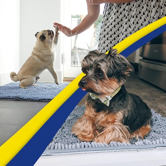 Muddy Mat® | Super Absorbent Door Mat Indoor, Microfiber Quick Dry Chenille Entryway Rug, Non-Slip Front Door Mat, Indoor Mats for Entryway, Machine Washable Pet Rug, Baby Blue 24"X60"