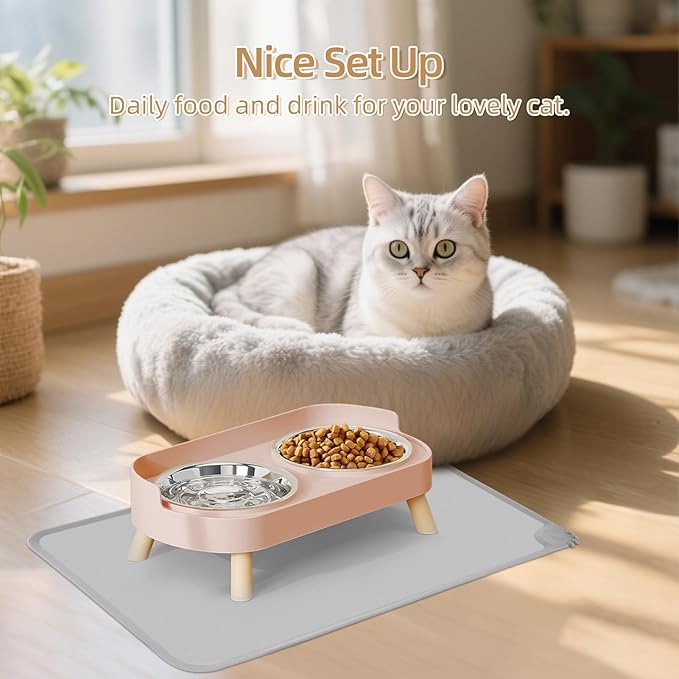 Elevated Cat Bowl with Food Mat, Raised Cat Food and Water Bowl Set for Indoor Cats, Splash Proof with 2 Stainless Steel Pet Food Bowls for Cats and Puppies,Whisker Fatigue and Dishwasher Safe (Pink)
