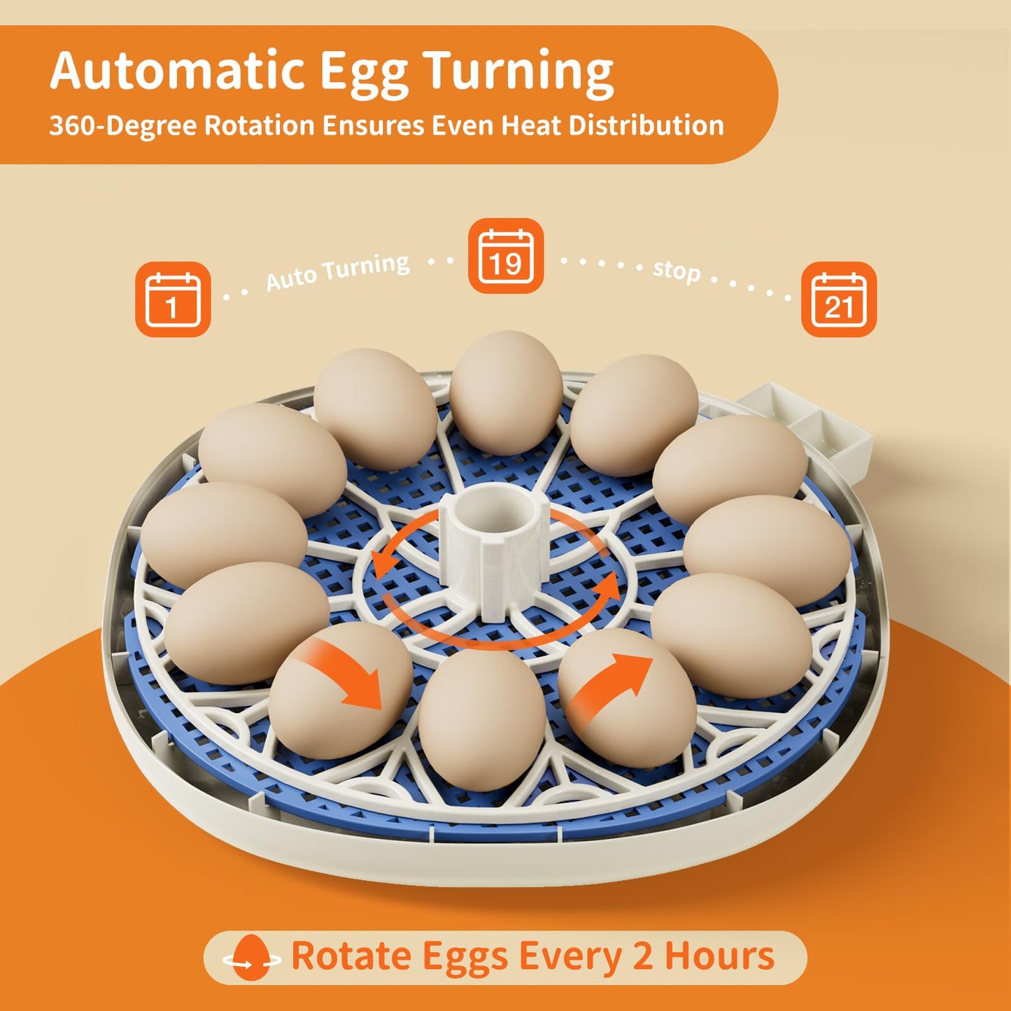 12 Egg Incubators for Hatching Eggs, Temperature and Humidity Control, Automatic Egg Turning, Egg Candler, Automatic Water Refill, for Chicken, Quail & Duck Eggs, Perfect for Home, Farm, Classroom