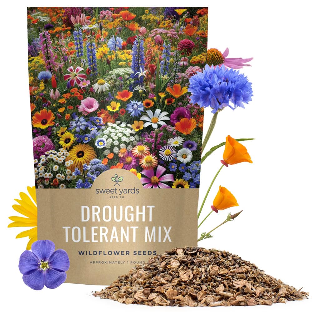 Drought Tolerant Wildflowers Mix â Bulk 1 Pound Bag â Over 120,000 Open Pollinated Non-GMO Seeds â 21 Different Dryland Species