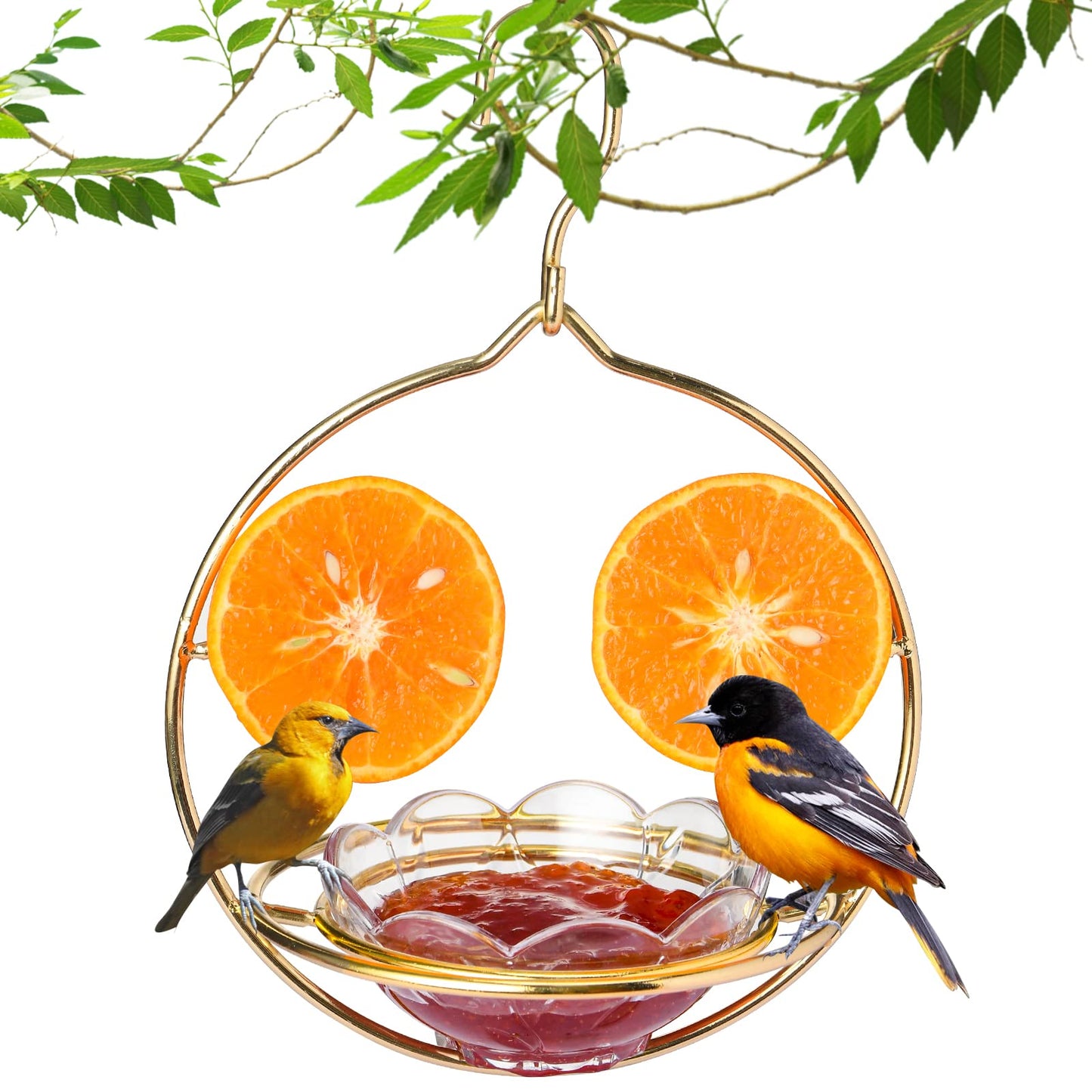 Jealoeur Oriole Feeders for Outdoors Hanging with Fruit Holder, Golden Oriole Feeders, Easy to Disassemble and Wash, Used for Bird Watching in the Courtyard