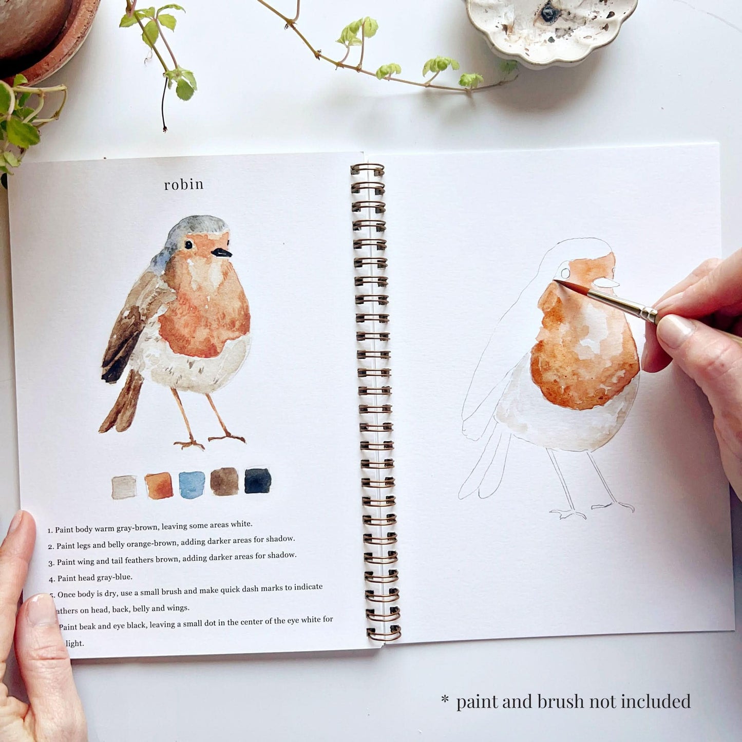 Birds Watercolor Workbook by Emily Lex Studio, 12 Beginner Friendly Sketched Illustrations, Lay Flat Spiral Pages, 6.5 x 9 inch, 120lb Watercolor Paper
