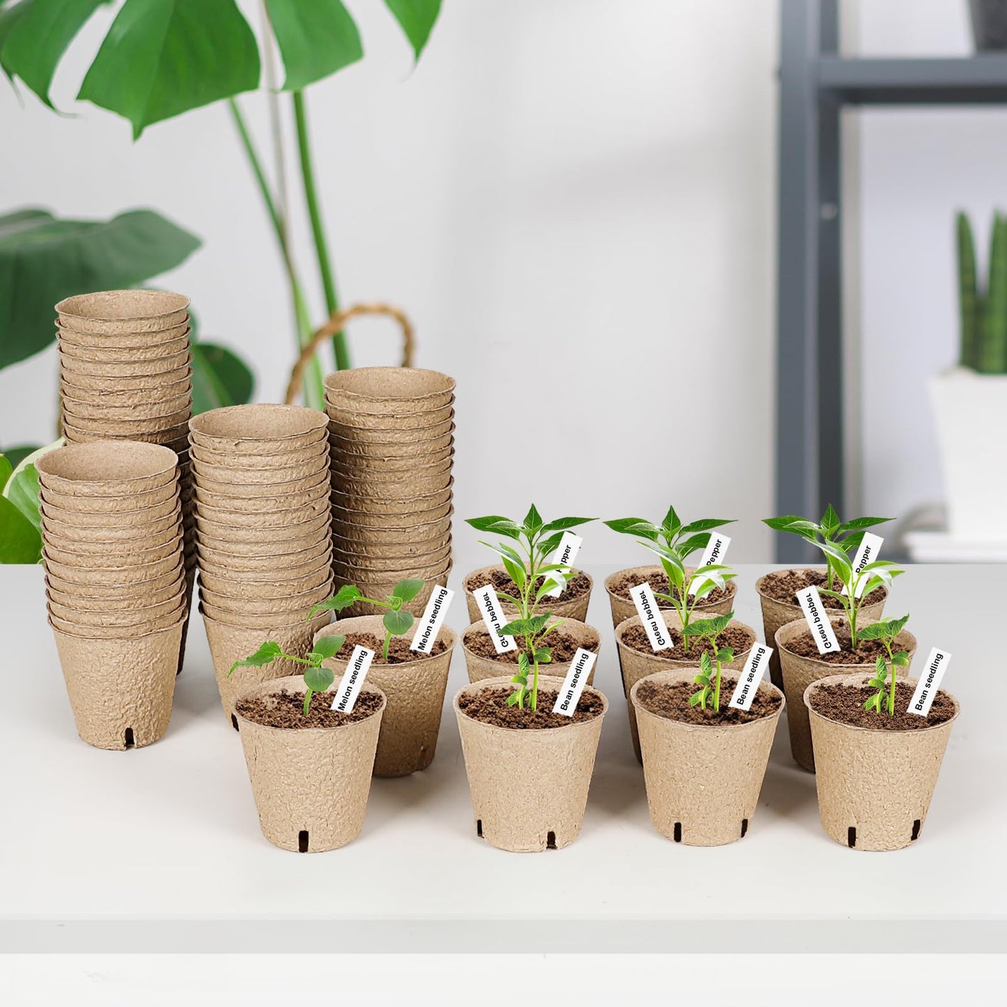JNYONG 120 Packs 3.15 Inch Peat Pots,Biodegradable Pots for Seedlings with Drainage Holes, Garden Germination Nursery Pots with 100Pcs Plant Labels