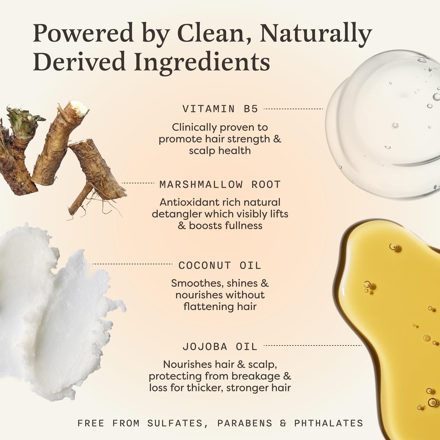 The Earthling Co. Shampoo & Conditioner Bar Set - Promote Hair Growth, Strengthen & Volumize All Types - Paraben & Sulfate Free Formula With Natural Ingredients for Dry Hair (Citrus Sun)
