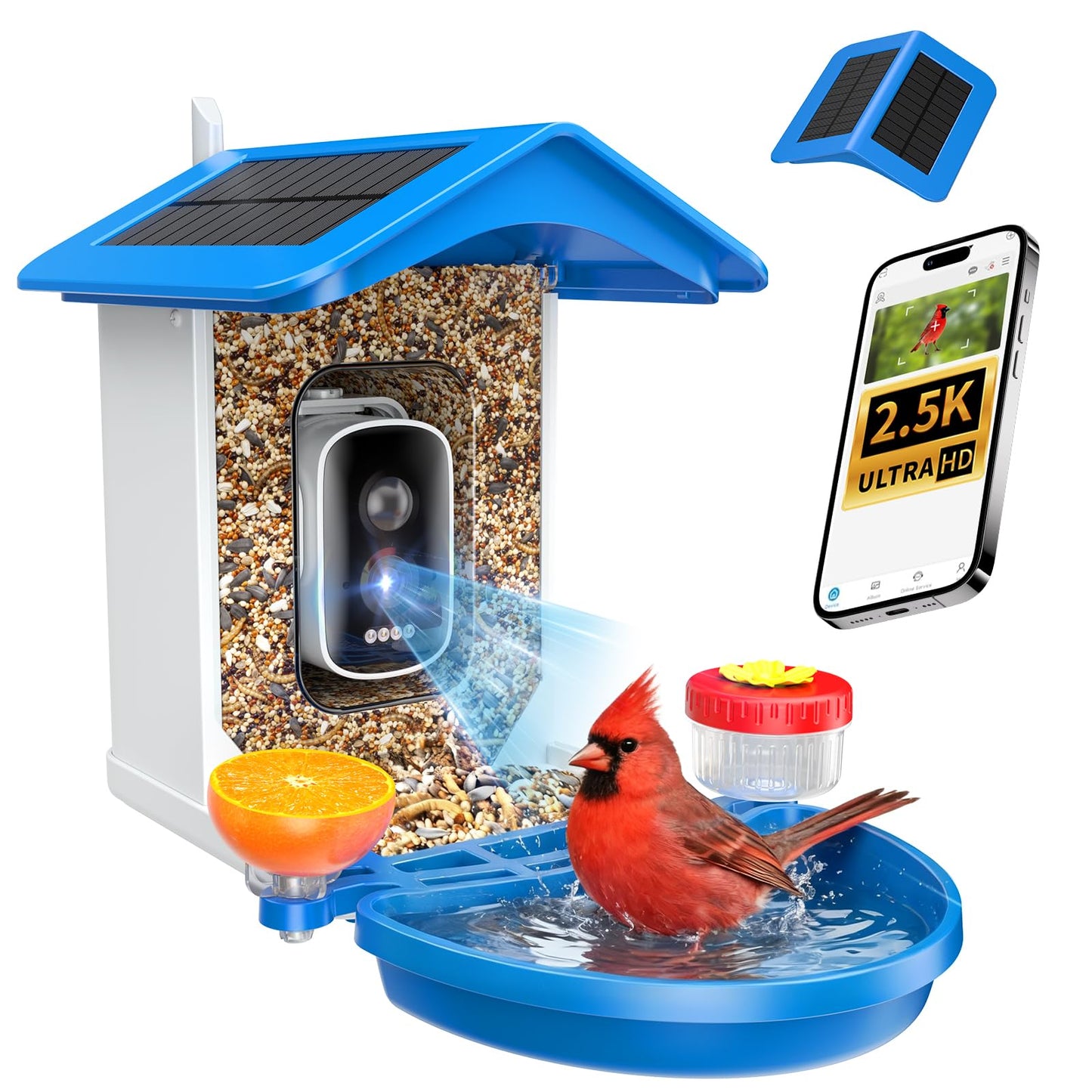 isYoung Smart Bird Feeder with Camera 2.5K QHD, AI Identify 16000+ Birds, Auto-Capture & Motion Detection, IP65 Waterproof, 5W Solar Panel, 140Â° Field of View, Bird Watching Gift