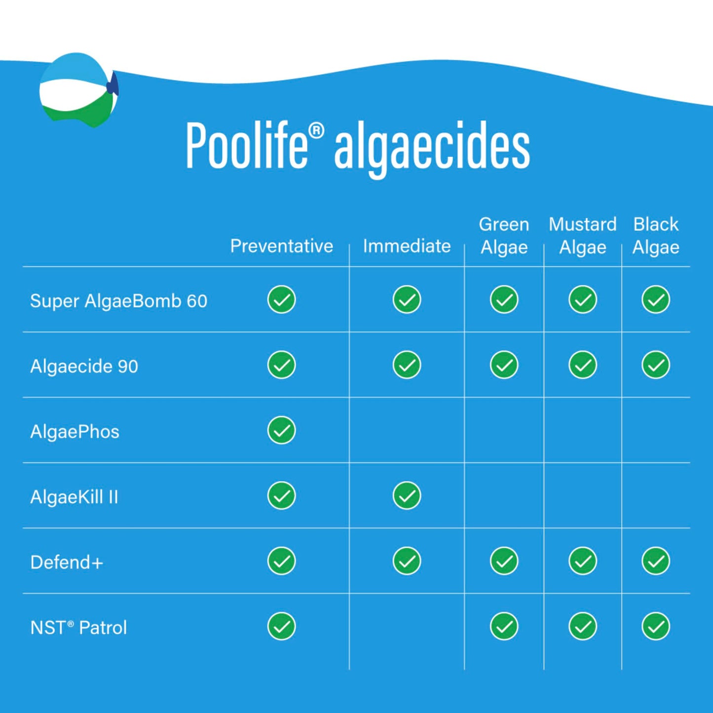 Poolife Algaecide 90 1QT