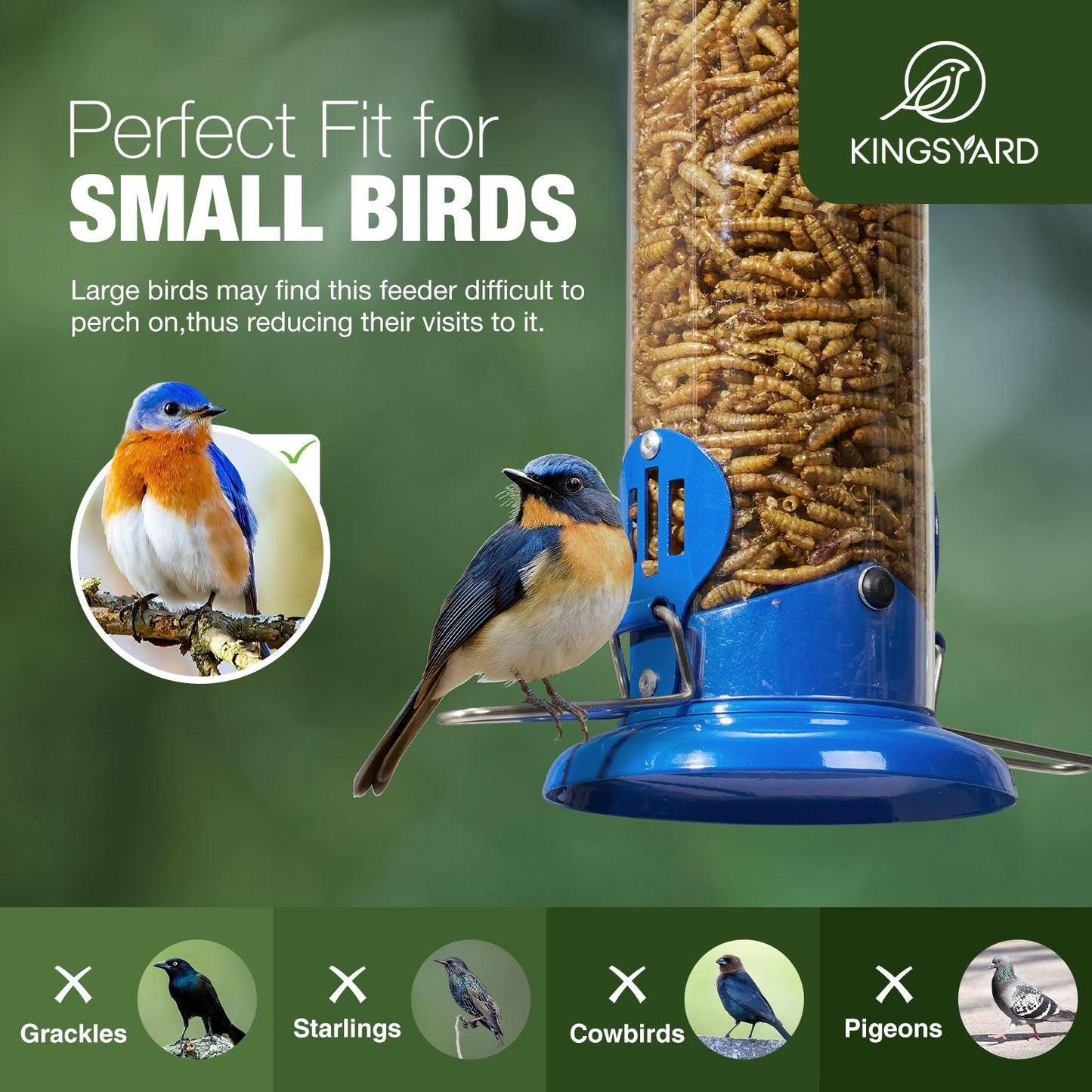 Kingsyard Upgraded Bluebird Feeder for Outdoors Hanging, Metal Mealworm Tube Bird Feeder with Widen Perch for Wild Birds, Squirrel Chew Proof, Easy to Refill & Clean(Blue)