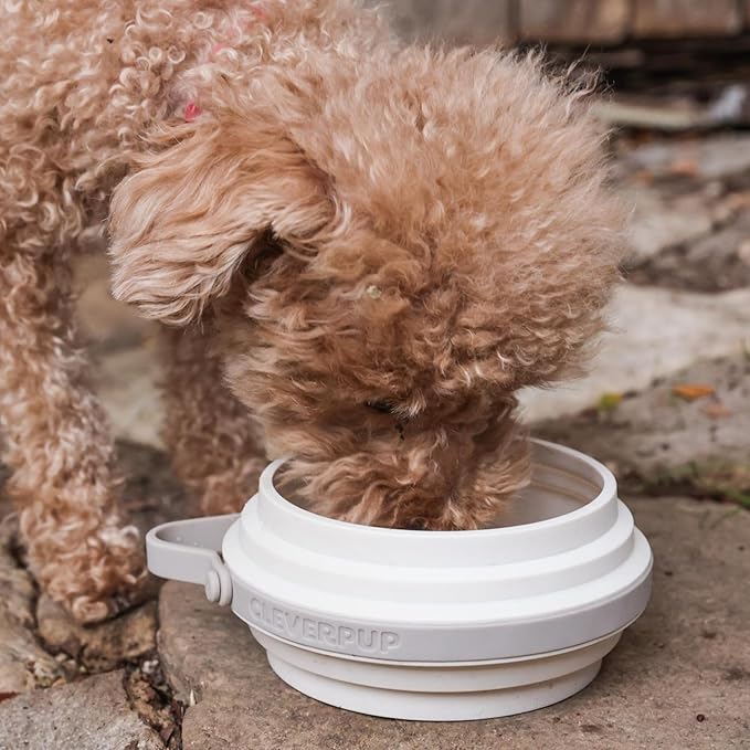 Cleverpup Nomad Small Collapsible Travel Dog Bowl - 2 Cup BPA-Free Silicone for Small & Medium Dogs, Portable, Sturdy, Food & Water, Dishwasher Safe - Sand