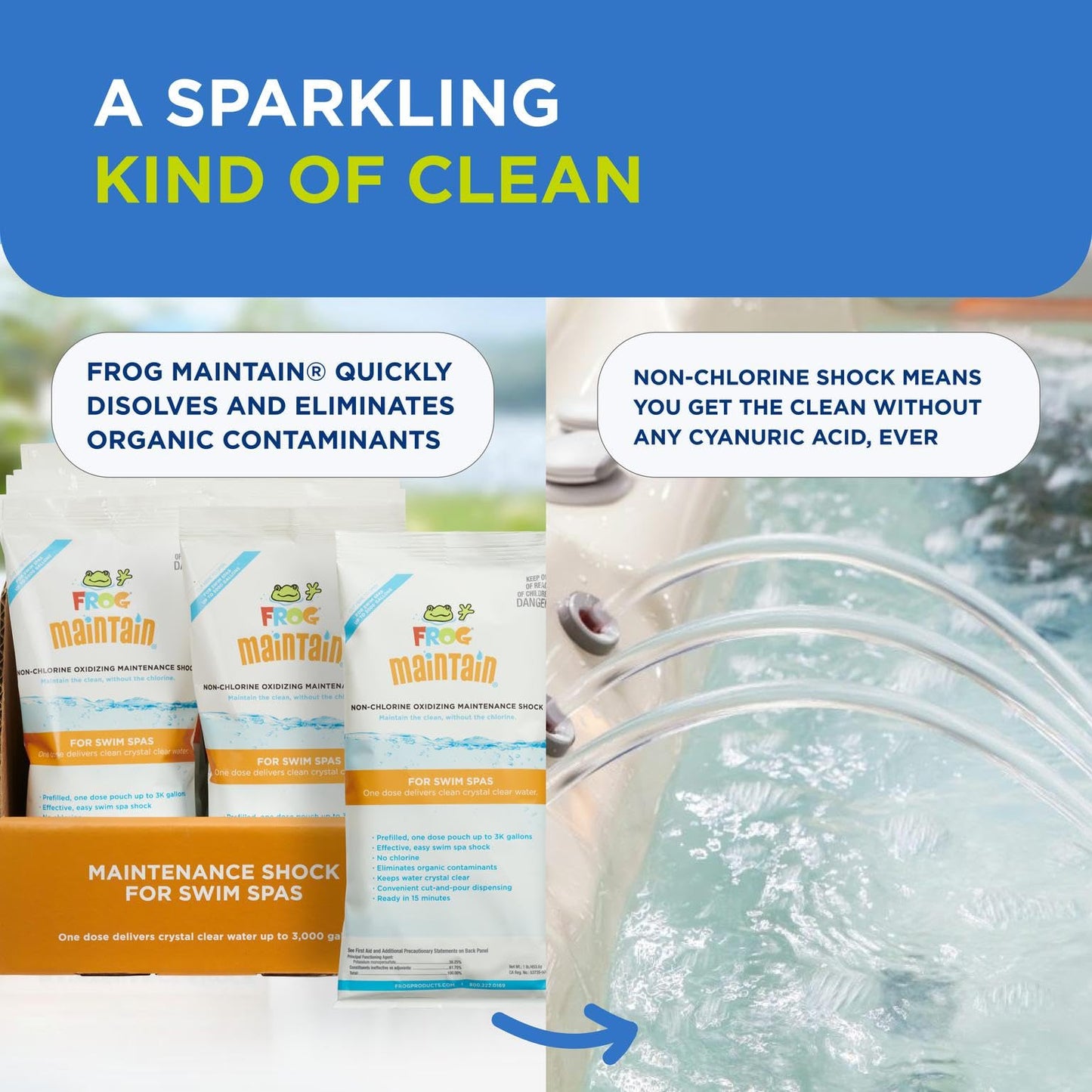 FROG Maintain for Swim Spas - Non-Chlorine Shock for Use With @Ease Floating System - Single Dose Packets for Easy Spa Maintenance & Treatment - 2 Pack