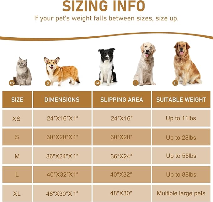Smiry Dog Door Mat for Muddy Paws 59x32, Absorbs Moisture and Dirt Doormat, Non-Slip Washable Quick Dry Chenille Front Door Mat Indoor Entrance, Entryway Carpet for Inside Floor, Grey