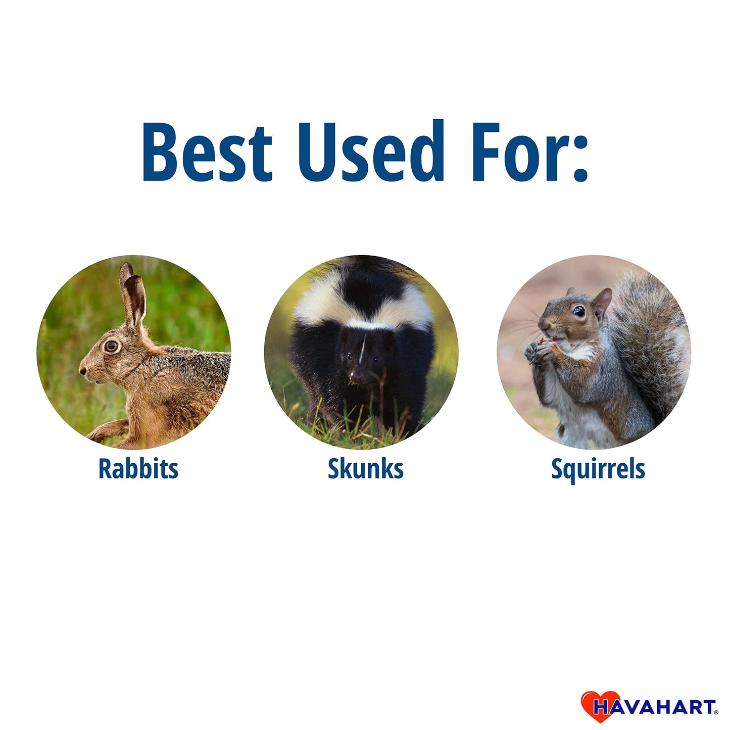 Havahart Easy-Set Catch and Release Small 1-Door Humane Live Animal Trap for Squirrels, Rabbits, Skunks, and Other Small Animals - 1083