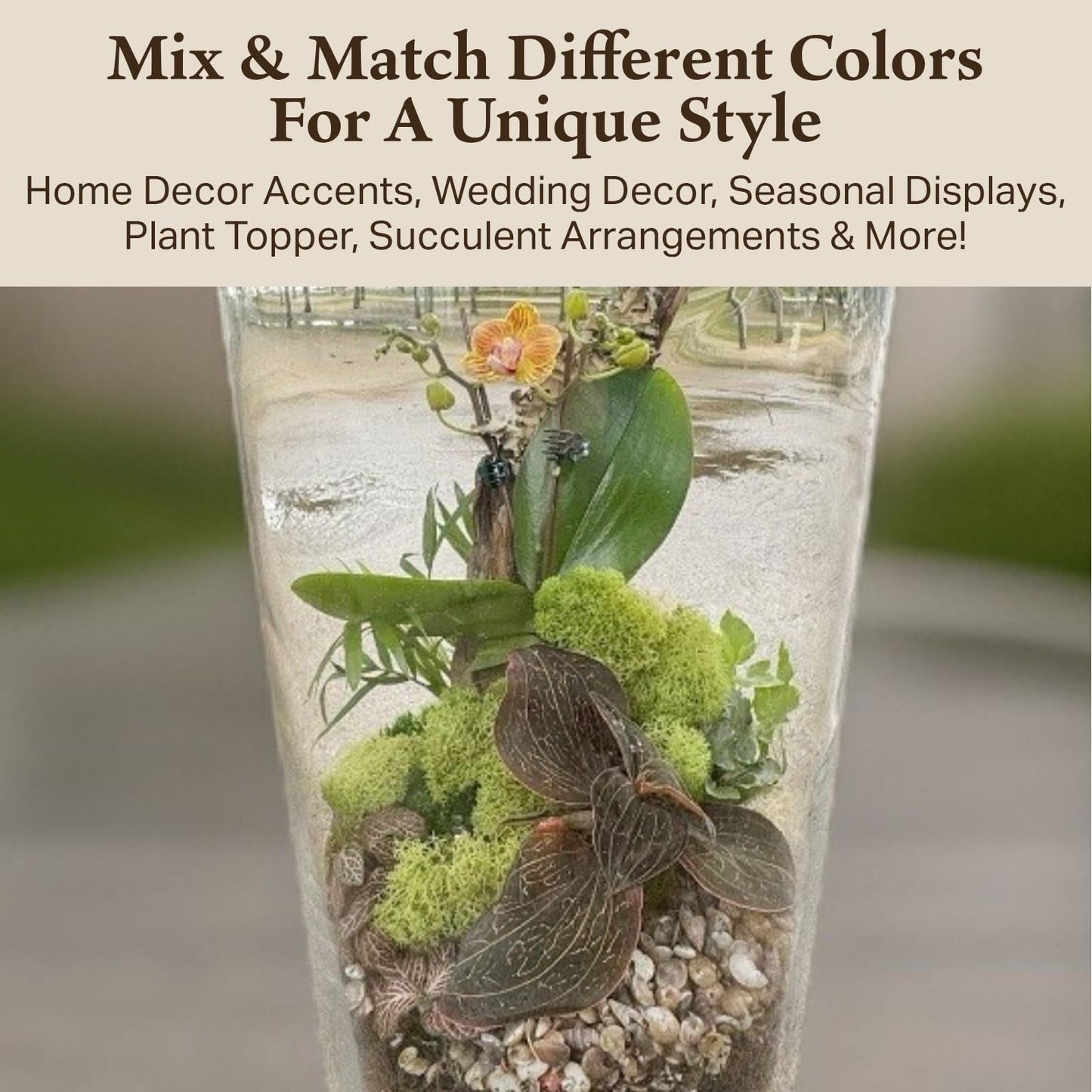 Quality Growers - Preserved Reindeer Moss - Moss for Crafts, Home Decor, Art, Design & DIY Projects - Non-Toxic - USA Made (Spring Green, Medium, 2-Pack)