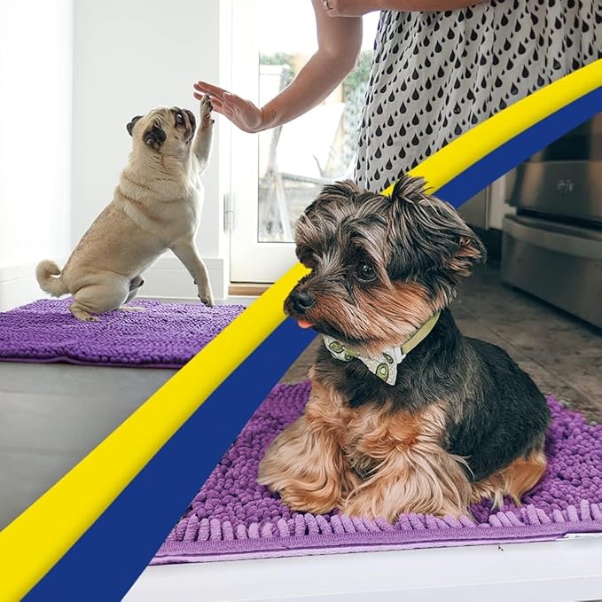 Muddy Mat® | Super Absorbent Door Mat Indoor, Microfiber Quick Dry Chenille Entryway Rug, Non-Slip Front Door Mat, Indoor Mats for Entryway, Machine Washable Pet Rug, Purple 24"x36"