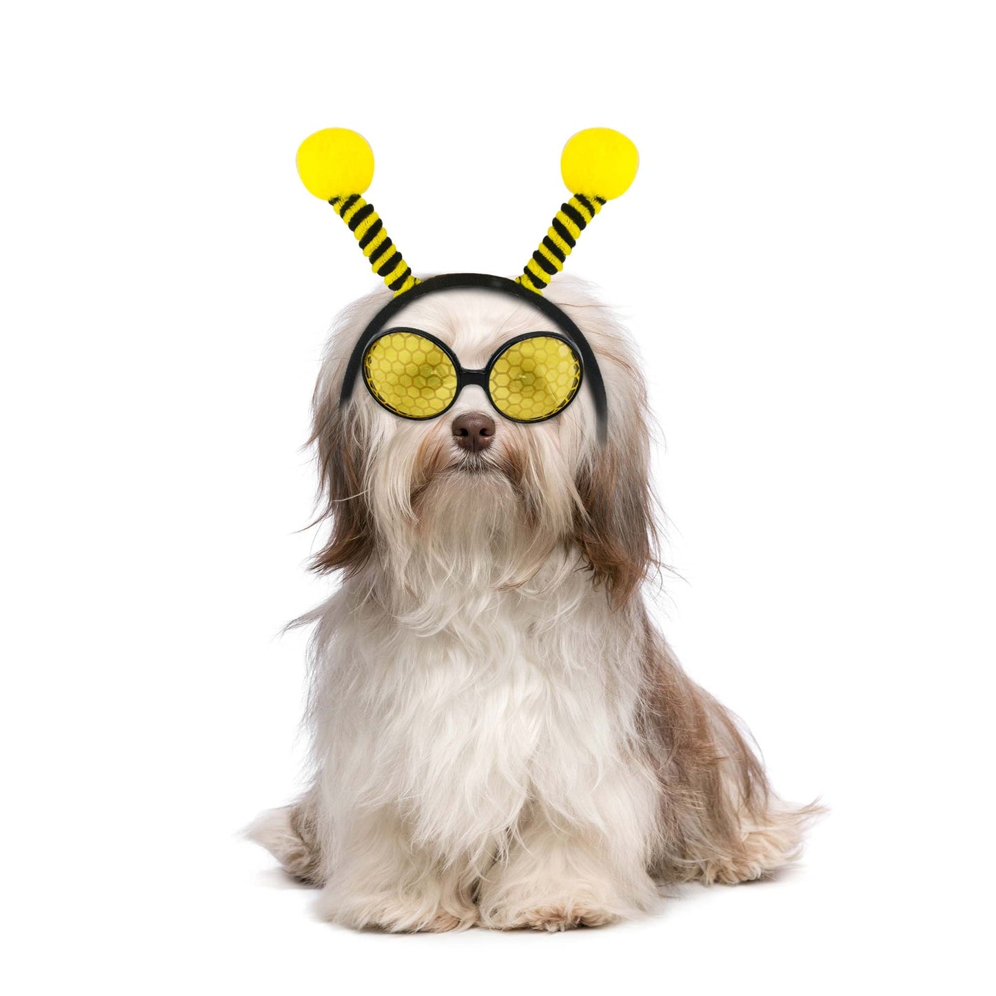 Trounistro 30 Pack Bee Antenna Headband and Glasses Set Bumblebee Headband with Bee Sunglasses Bee Costume Accessories for Birthday Halloween Dress up Yellow
