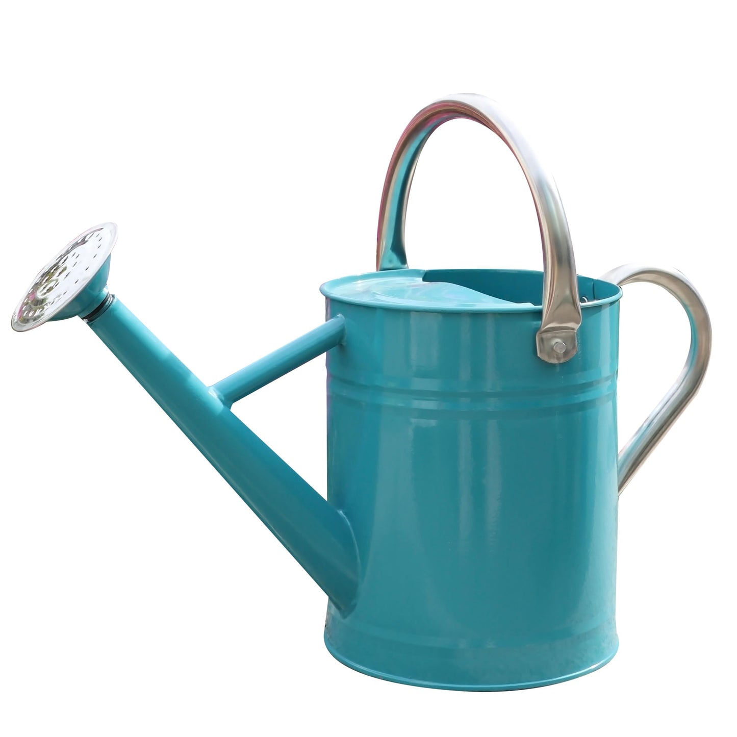 SunnyTong Metal Watering Can for Outdoor and Indoor Plants, Watering Can Decor, 1 Gallon (Leaf Green)
