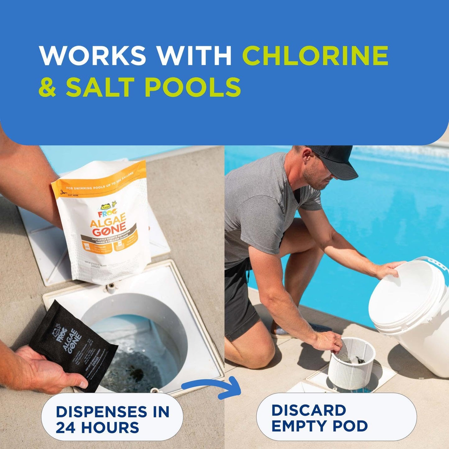 FROG Algae Gone - Dry Formula Algaecide Removes Green and Yellow Algae for In-Ground & Above-Ground Pools up to 20,000 Gallons - Chemical Pool Maintenance & Treatment - 2 Pods