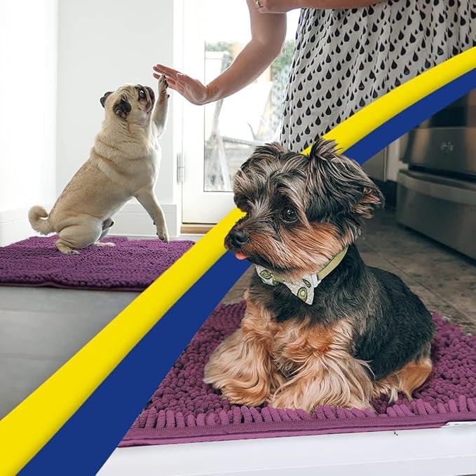 Muddy Mat® | Super Absorbent Door Mat Indoor, Microfiber Quick Dry Chenille Entryway Rug, Non-Slip Front Door Mat, Indoor Mats for Entryway, Machine Washable Pet Rug, Dark Purple 24"x36"