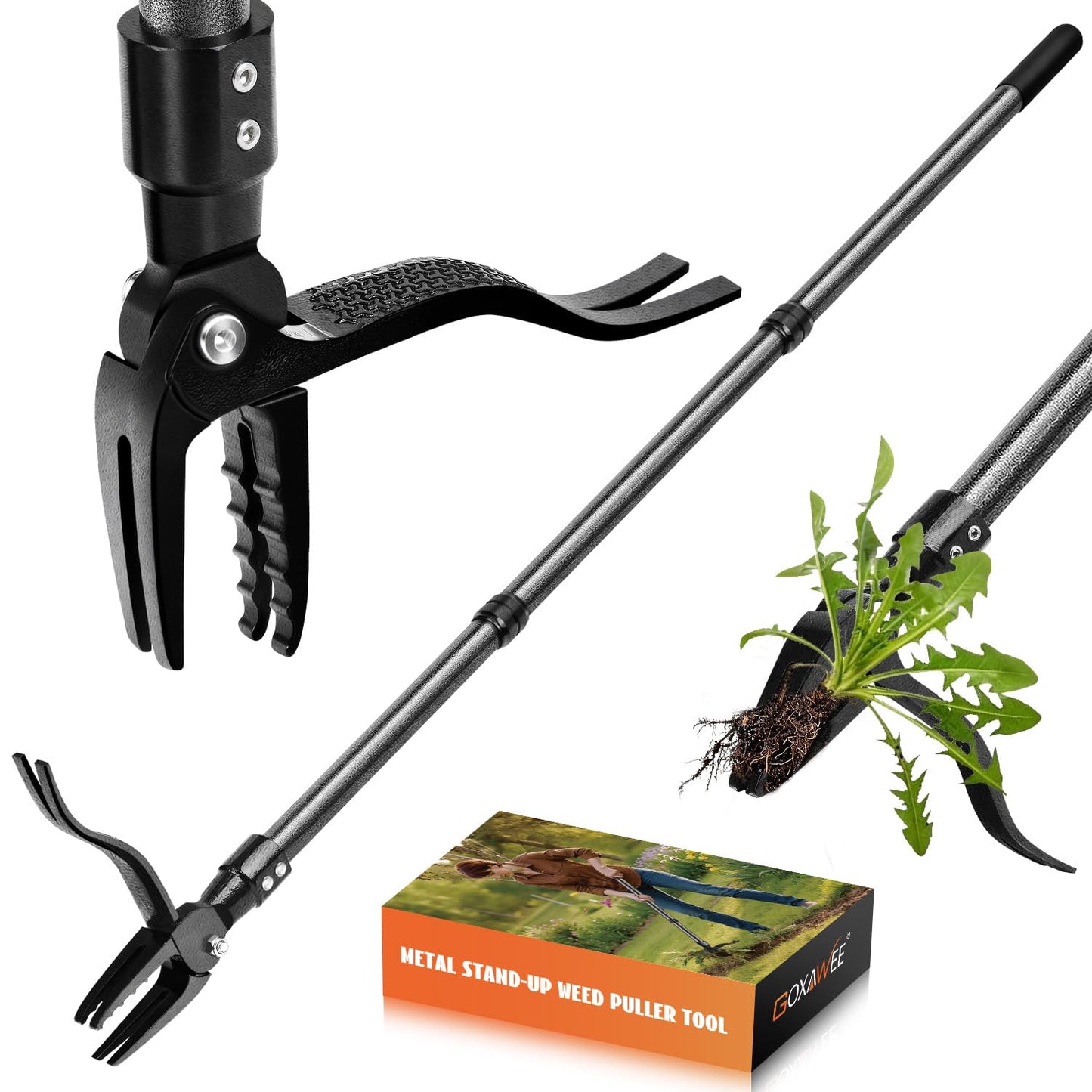 GOXAWEE Metal Stand Up Weed Puller Tool - 45" Garden Weeding Tool with Steel Long Handle & 4-Claw Steel Head - Effortlessly Remove Weeds Without Bending/Kneeling - All Steel Construction