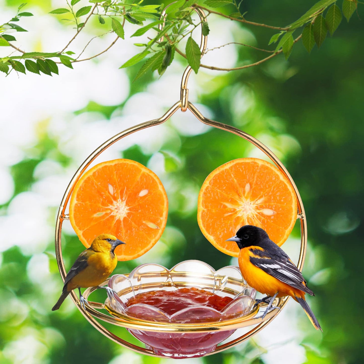 Jealoeur Oriole Feeders for Outdoors Hanging with Fruit Holder, Golden Oriole Feeders, Easy to Disassemble and Wash, Used for Bird Watching in the Courtyard