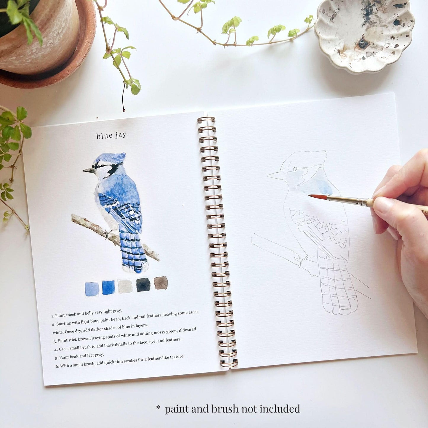 Birds Watercolor Workbook by Emily Lex Studio, 12 Beginner Friendly Sketched Illustrations, Lay Flat Spiral Pages, 6.5 x 9 inch, 120lb Watercolor Paper