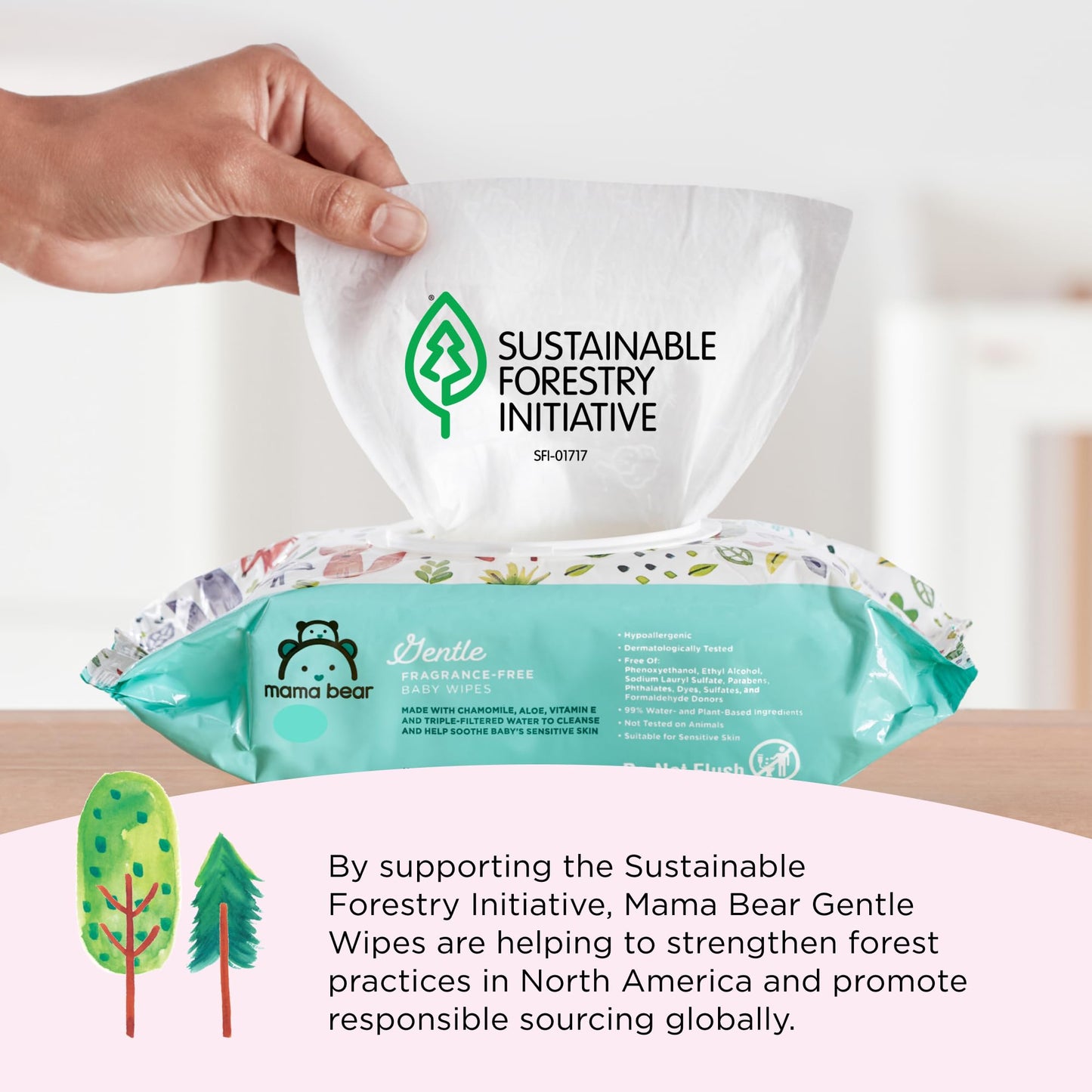 Amazon Brand - Mama Bear Gentle Formulated without Fragrance Baby Wipes, Hypoallergenic, Sensitive Skin, Unscented, 800 Count (8 Packs of 100)