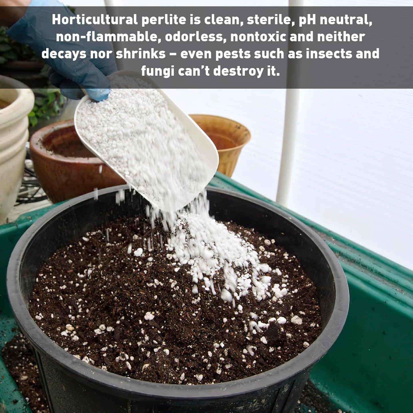 Norcal Perlite Horticultural Organic Certified Premium Screened Coarse Garden Indoor Outdoor Plants Soil and Drainage 4 Cubic Feet (103 Quarts) 1 Bag