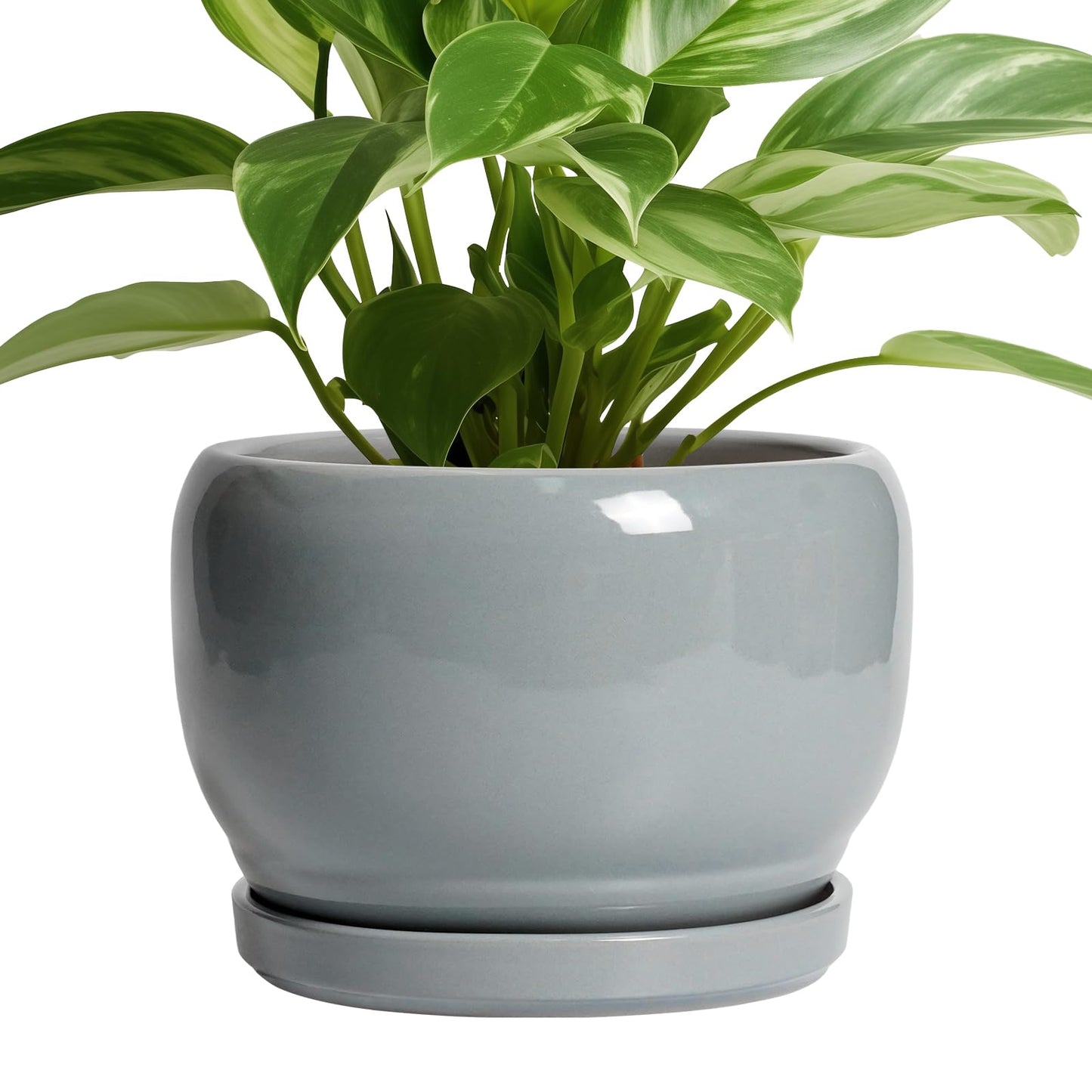 SQOWL Ceramic Pot for Plants - 8 Inch Plant Pot Indoor with Drainage Hole and Saucer, Round Planter Outdoor, Decorative Modern Planter for Flower, Bedroom Decor, Plant Lovers Gifts, Gray