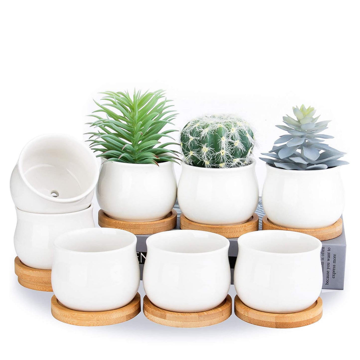 SHECIPIN Succulent Plant Pot, White Mini 2.6 inch Ceramic Flower Planter Pot with Bamboo Tray, Pack of 8 - Plants Not Included