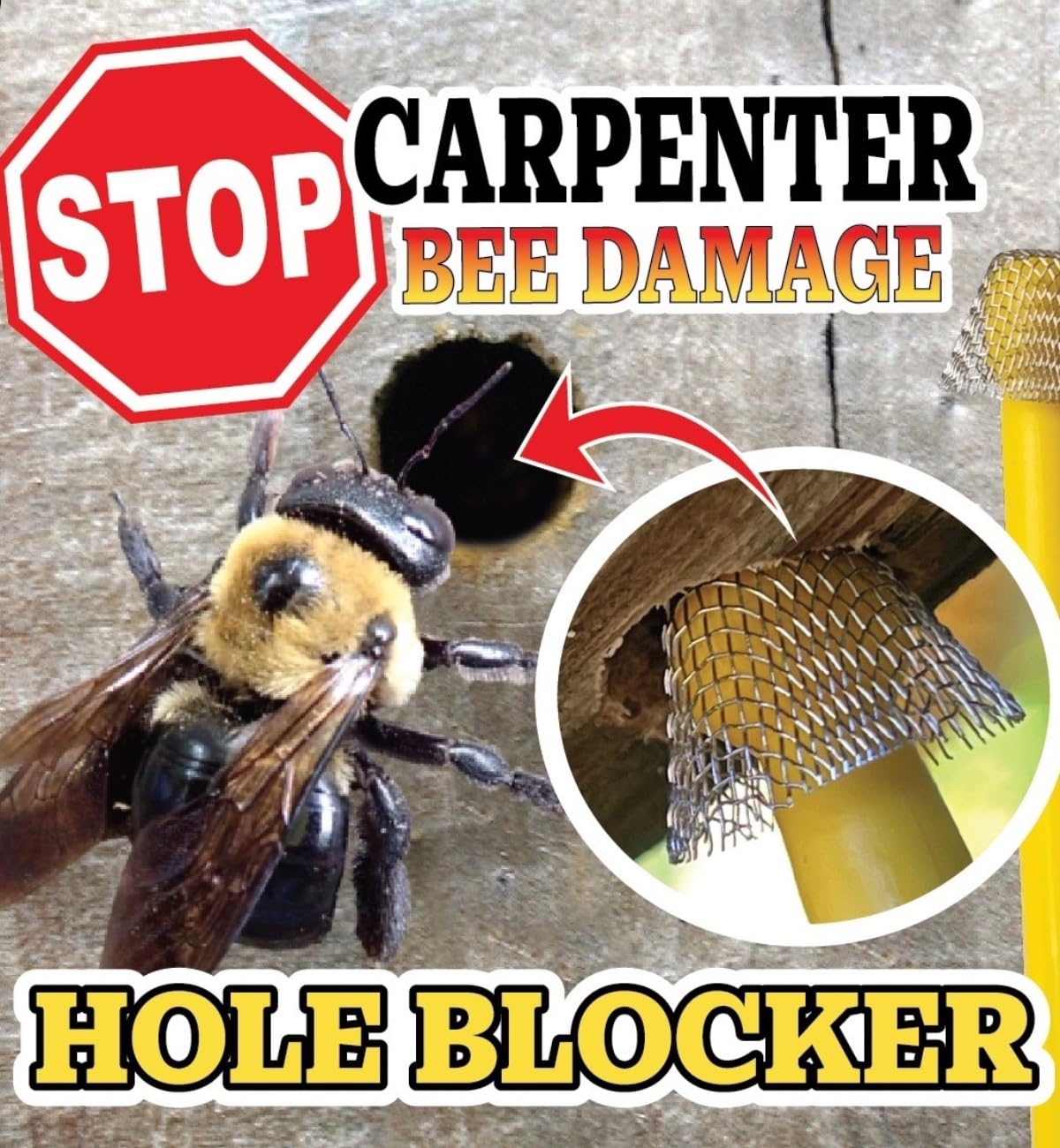 BB PRO Patented Carpenter Bee Traps for Outside – 304 Stainless Steel 30 Count Hole Filler Plugs – Stop Woodpecker Damage & Borer Bee Re-Entry – Permanent Wood Protection Kit