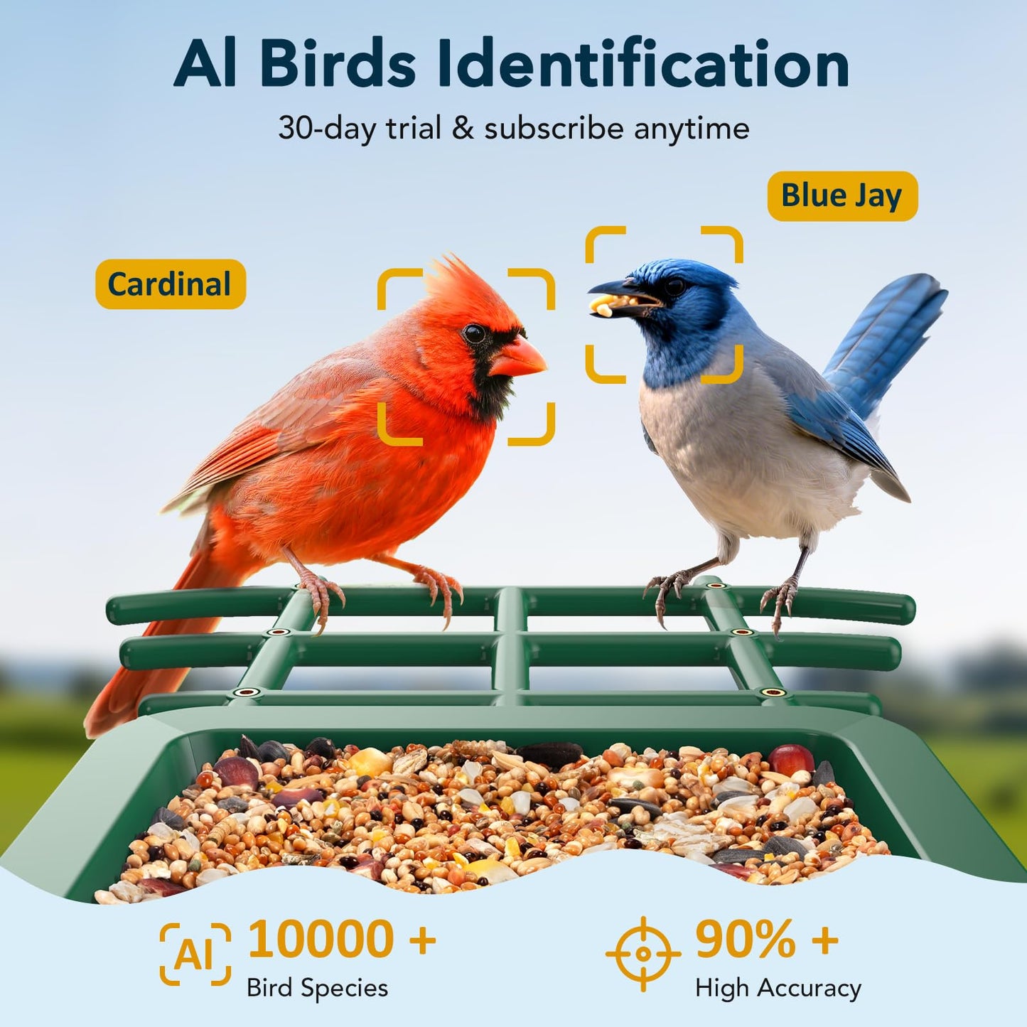 PeckCam Bird Feeder with Camera Solar Powered, AI Identify & Auto Capture with 32GB Card, 2K HD Live Video Smart Bird Feeder Camera Instant Notifications in Backyard, Gift for Bird Lovers