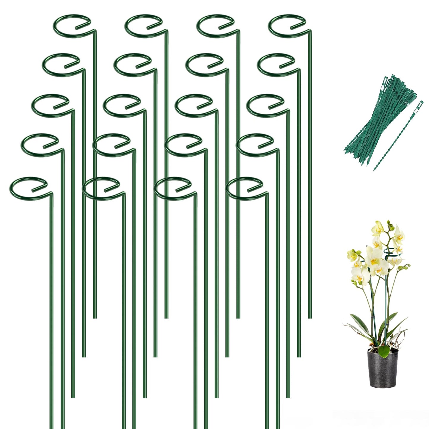 Breeze Touch 20 Pack Plant Stakes, 16 Inch Plant Support Stakes with 15 Twist Ties, Plant Sticks Support, Flower Stakes for Plants Peony, Tomato Seedling, Marigold, Amaryllis, Sapling, Coreopsis