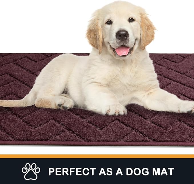 PURRUGS Dirt Trapping Door Mat 24" x 35.5", Non-Slip Machine Washable Entry Rug, Dog Doormat, Indoor Front Door Mat, Super Absorbent Entryway Rug for Muddy Shoes & Paws, Burgundy Red