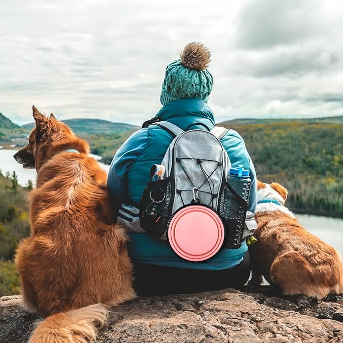 Collapsible Dog Bowl, Lightweight and Portable, Ideal for Camping, Hiking, and Outdoor Use