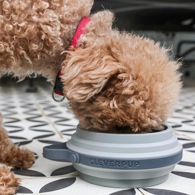 Cleverpup Nomad Small Collapsible Travel Dog Bowl - 2 Cup BPA-Free Silicone for Small & Medium Dogs, Portable & Sturdy, Food & Water, Dishwasher Safe - Grey