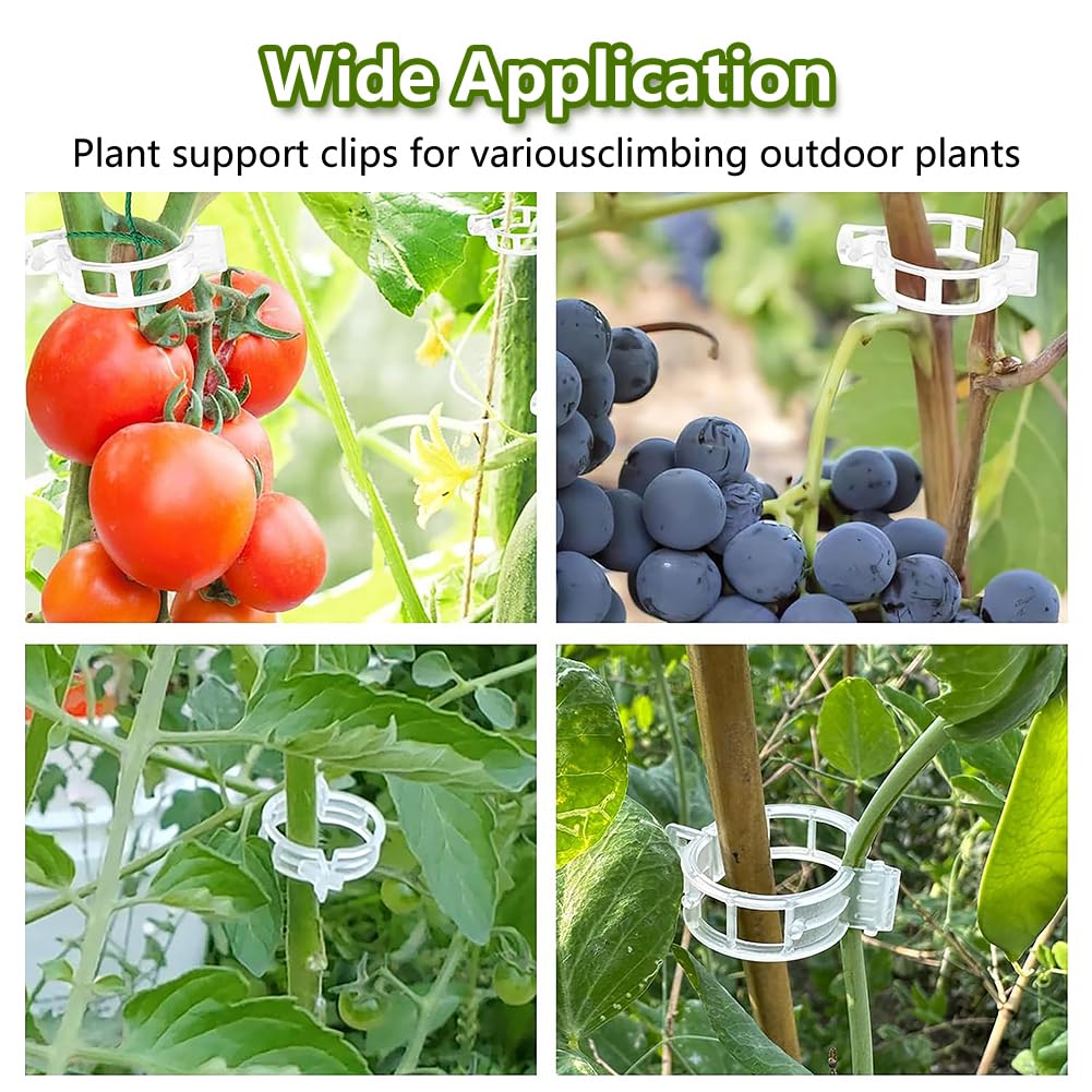 Dovciua 100PCS Plant Support Clips, Plastic Clips for Securing Plants, Plant Fixing Clips for Tomato Vine, Reusable Garden Clips for Climbing Plants, Grape, Vegetable Stems (100, Green)