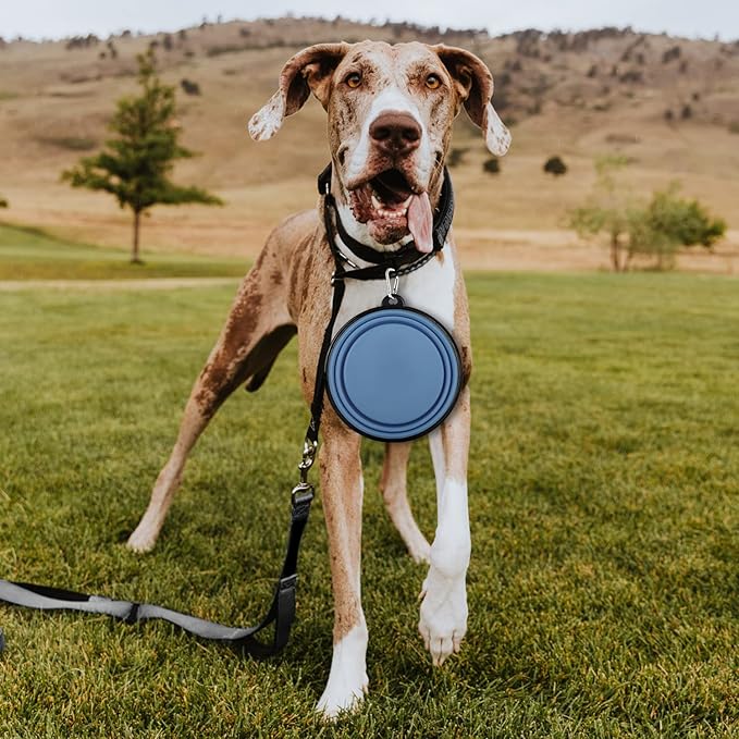 Collapsible Dog Bowl, Lightweight and Portable, Ideal for Outdoor, Camping, Hiking, Suitable for Dogs
