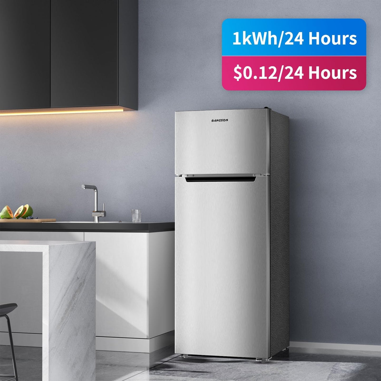 BANGSON 7.7 Cu.Ft Refrigerator with Freezer, Apartment Size Fridge with Top Freezer, for Apartment, Office, Kitchen and Garage, Stainless Steel, Silver