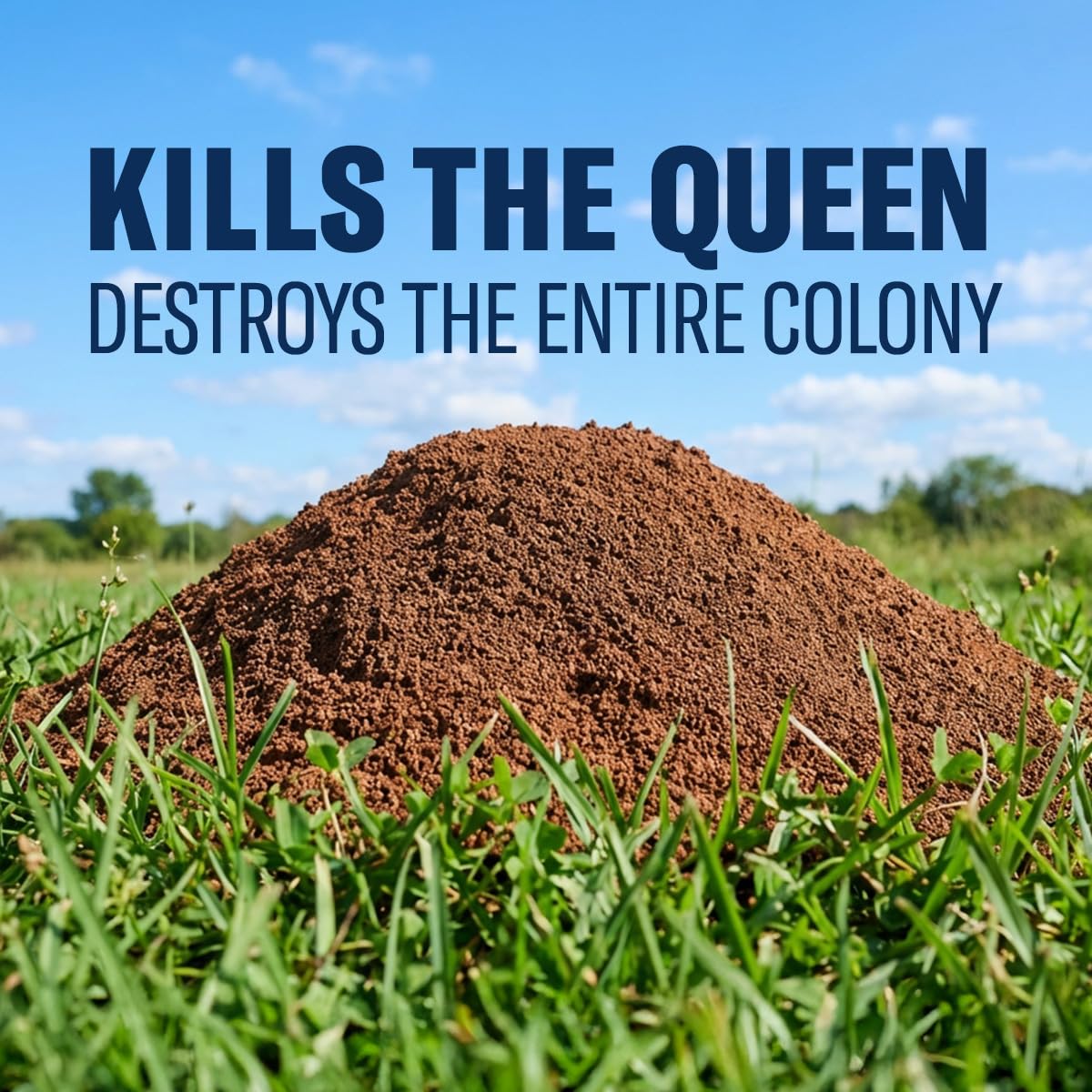 BioAdvanced Fire Ant Killer Dust - Kills the Queen - Destroys Up to 195 Mounds - Outdoor Ant Powder Killer - 1.5 lb Bottle