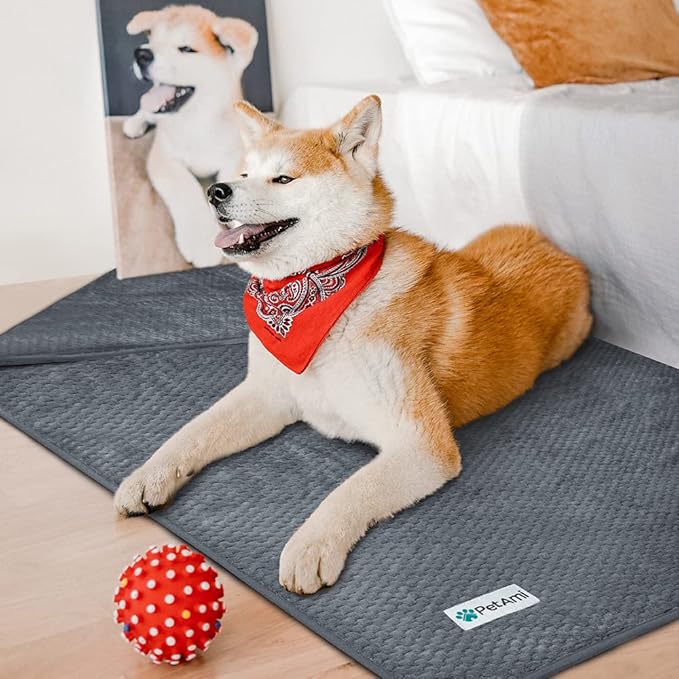 PetAmi Waterproof Dog Blanket, Leakproof Puppy Blanket for Small Medium Dogs, Furniture Sofa Couch Cover Protector, Fleece Pet Throw for Indoor Cat Kitten, Reversible Washable Soft Plush, 24x32 Gray