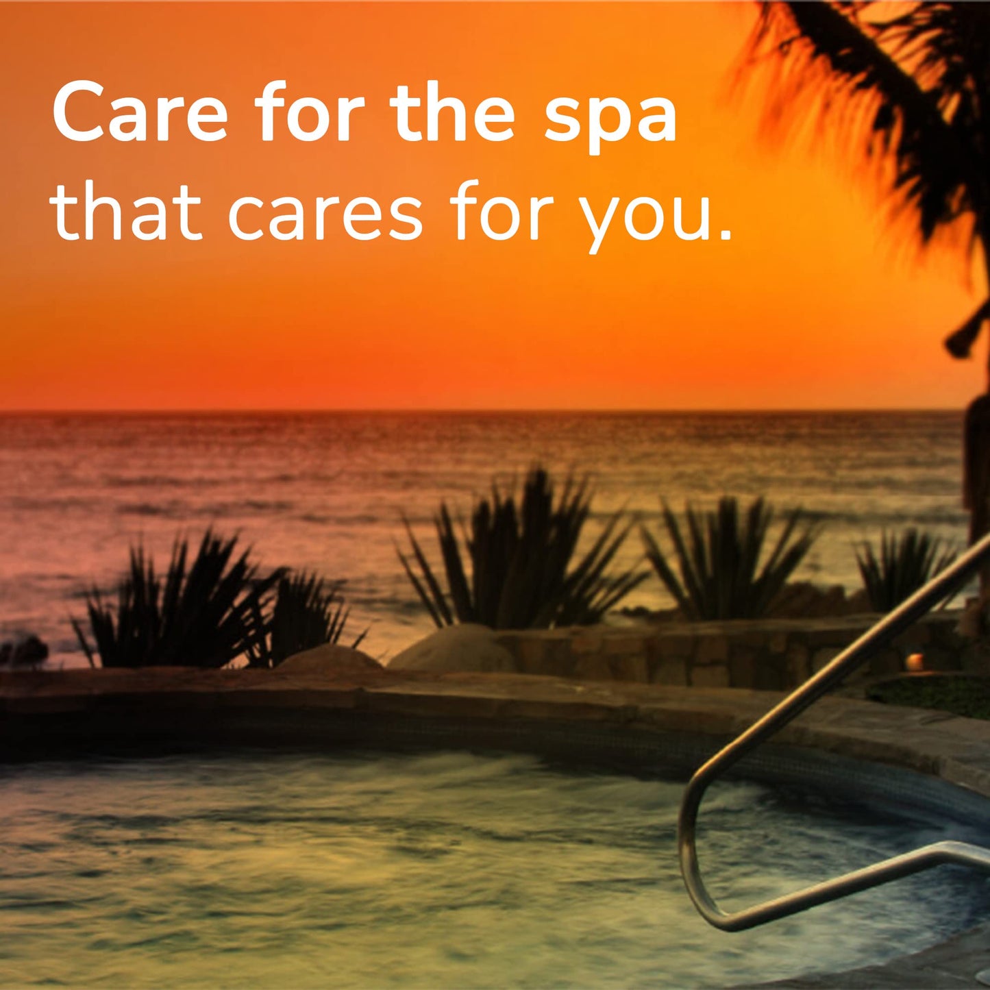 Leisure Time B Defender for Spas and Hot Tubs, 1-Quart