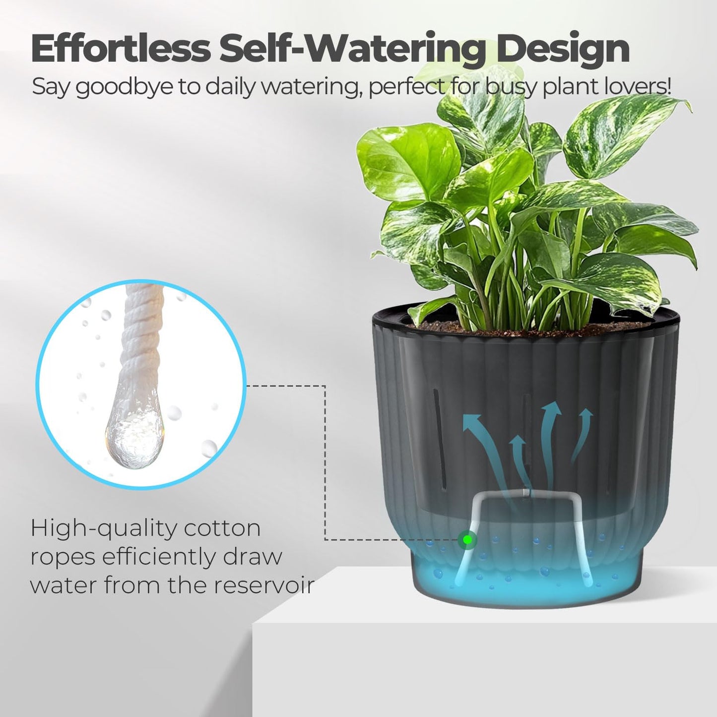 T4U 4.5 Inch Plant Pots Self Watering, 6 Pack African Violet Pots, Small Plant Pots for Plants, Small Indoor Plant Pot, Self Watering Planter for African Violet, Succulents (6 Pack 4.5" Pots, Gray)