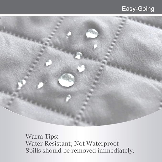 Easy-Going Reversible Loveseat Couch Cover for 2 Cushion Couch Sofa Cover for Dogs Water Resistant Furniture Protector with Foam Sticks Elastic Straps for Pet (Loveseat, Light Gray/Light Gray)