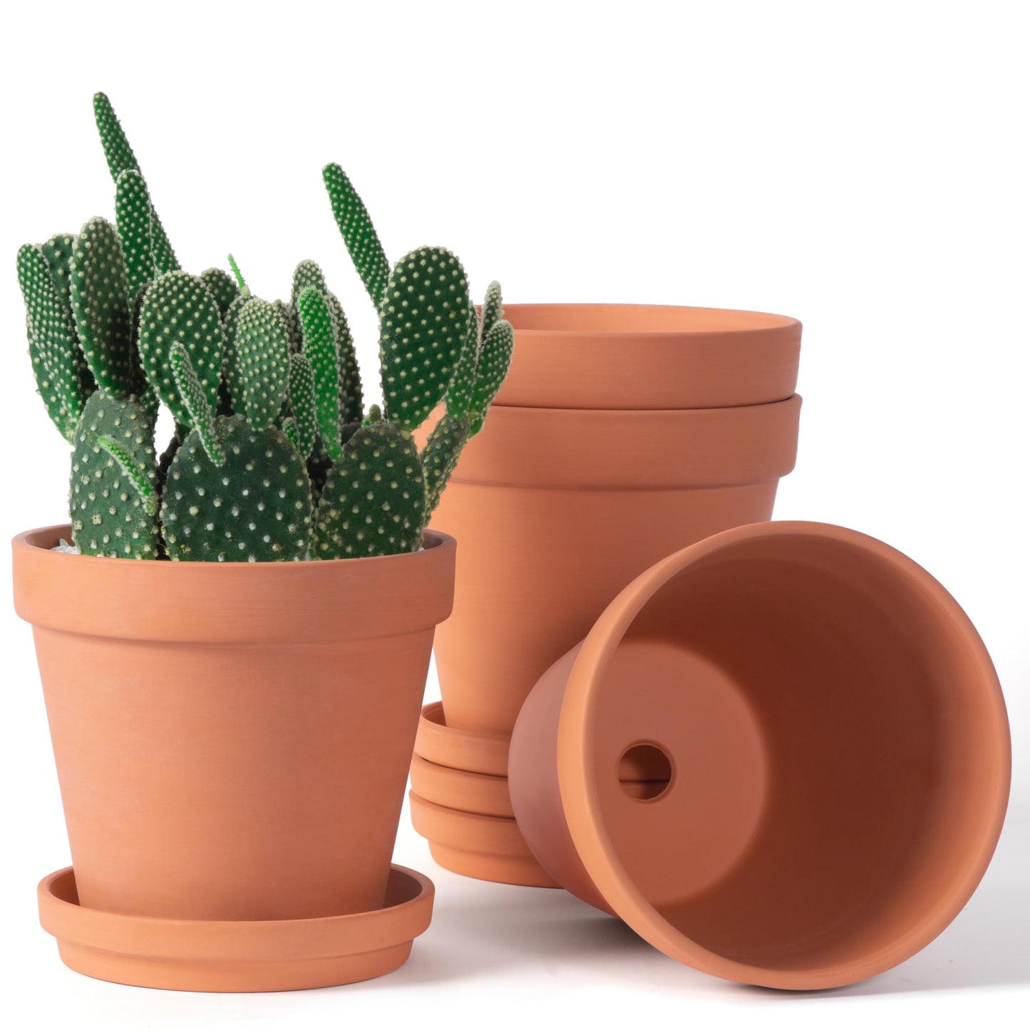 Orceler 6 inch Terracotta & Clay Pots for Plants with Saucer, Medium Terra Cotta Plant Pots with Drainage Hole, Flowerpot with Tray, Terracotta Pot for Indoor Outdoor Plant - Pack of 4 Planters