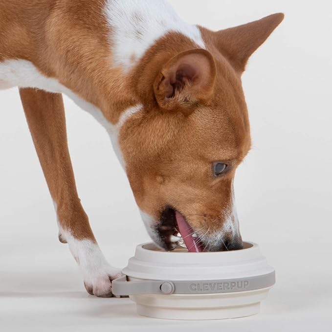 Cleverpup Nomad Small Collapsible Travel Dog Bowl - 2 Cup BPA-Free Silicone for Small & Medium Dogs, Portable, Sturdy, Food & Water, Dishwasher Safe - Sand